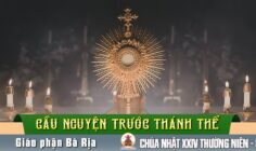 Cầu nguyện trước Thánh Thể- Ngày 14.09.2025 – Chúa nhật XXIV Thường niên – Lc 15,1-32