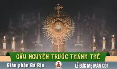 Cầu nguyện trước Thánh Thể- Ngày 05.10.2025 – Lễ Đức Mẹ Mân Côi – Lc 1,26-38