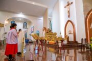Gx. Phước Lâm: Mừng lễ Sinh nhật Đức Mẹ- Bổn mạng Hội Tận Hiến