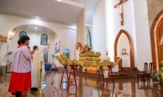 Gx. Phước Lâm: Mừng lễ Sinh nhật Đức Mẹ- Bổn mạng Hội Tận Hiến
