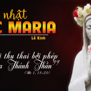 08.09.2025 – Thứ Hai Tuần XXIII Thường Niên: Sinh Nhật Đức Maria
