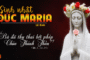 08.09.2025 – Thứ Hai Tuần XXIII Thường Niên: Sinh Nhật Đức Maria