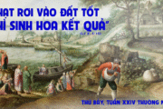 20.09.2025 – Thứ Bảy Tuần XXIV Thường Niên