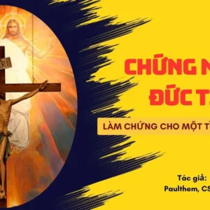 Chứng nhân đức tin - Làm chứng cho một Tình yêu bất diệt