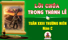 Lời Chúa trong thánh lễ Tuần XXIII Thường niên – Năm C