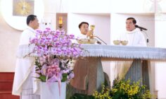Gx. Bến Đá: Thánh lễ tạ ơn mừng kỷ niệm 20 năm linh mục của Cha Chánh xứ