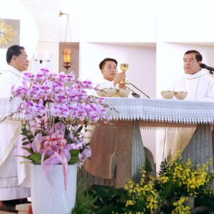 Gx. Bến Đá: Thánh lễ tạ ơn mừng kỷ niệm 20 năm linh mục của Cha Chánh xứ