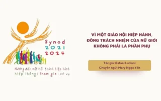 Vì một Giáo hội hiệp hành, đồng trách nhiệm của nữ giới không phải là phần phụ