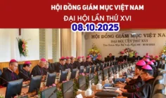 Đại hội XVI Hội đồng Giám mục Việt Nam: Ngày 08/10