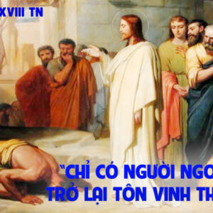 CÁC BÀI SUY NIỆM LỜI CHÚA CHÚA NHẬT XXVIII THƯỜNG NIÊN-C