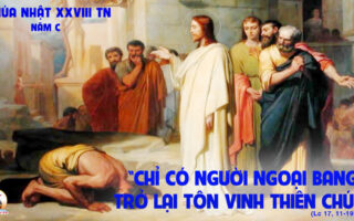 CÁC BÀI SUY NIỆM LỜI CHÚA CHÚA NHẬT XXVIII THƯỜNG NIÊN-C