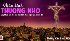 CÁC BÀI SUY NIỆM LỜI CHÚA LỄ CÁC ĐẲNG LINH HỒN