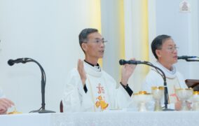 Giáo xứ Hòa Sơn: Thánh lễ tạ ơn 20 năm Linh mục của Cha Chánh xứ