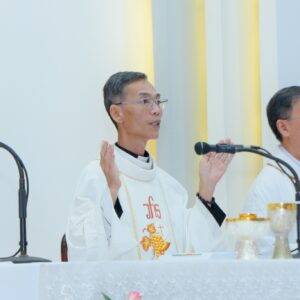 Giáo xứ Hòa Sơn: Thánh lễ tạ ơn 20 năm Linh mục của Cha Chánh xứ