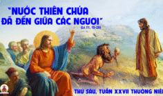 10.10.2025 – Thứ Sáu Tuần XXVII Thường Niên