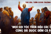 17.10.2025 – Thứ Sáu Tuần XXVIII Thường Niên