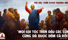 17.10.2025 – Thứ Sáu Tuần XXVIII Thường Niên
