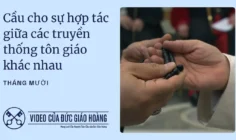 Ý cầu nguyện của Đức Giáo Hoàng tháng 10/2025: Cầu nguyện cho sự hợp tác giữa các truyền thống tôn giáo khác nhau