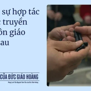 Ý cầu nguyện của Đức Giáo Hoàng tháng 10/2025: Cầu nguyện cho sự hợp tác giữa các truyền thống tôn giáo khác nhau