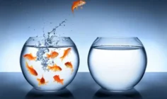 Ba bí quyết để tự do hơn trên mạng xã hội