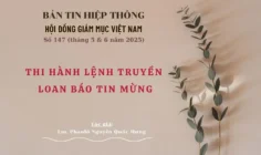 Thi hành lệnh truyền loan báo Tin mừng