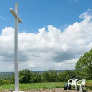 Bộ Giáo lý Đức tin khẳng định: 