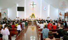 Đền Thánh Đức Mẹ Bãi Dâu: Thánh lễ hành hương Thứ Bảy đầu tháng 11.2025 - Lễ Các Thánh Nam Nữ