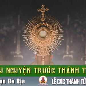 Cầu nguyện trước Thánh Thể- Ngày 16.11.2025 – Lễ Các Thánh Tử Đạo Việt Nam – Lc 9,23-26