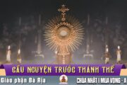 Cầu nguyện trước Thánh Thể- Ngày 30.11.2025 – Chúa nhật I mùa Vọng – Mt 24,37-44