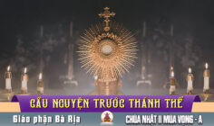 Cầu nguyện trước Thánh Thể- Ngày 07.12.2025 – Chúa nhật II mùa Vọng – Mt 3,1-12