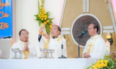 Gx. Tân Lâm: Chào đón mục tử mới: Cha Giuse Nguyễn Văn Anh - Ngày 26.11.2025