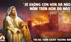 25.11.2025 – Thứ Ba Tuần XXXIV Thường Niên