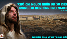 20.11.2025 – Thứ Năm Tuần XXXIII Thường Niên