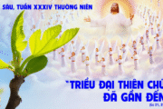 28.11.2025 – Thứ Sáu Tuần XXXIV Thường Niên