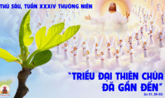 28.11.2025 – Thứ Sáu Tuần XXXIV Thường Niên