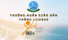 Ủy ban Giáo dân: Thường huấn tháng 11/2025