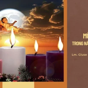 Mùa Vọng trong Năm thánh Hy vọng