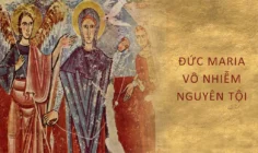 Ngày 08 tháng 12: Lễ Đức Maria vô nhiễm nguyên tội