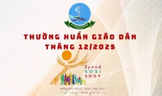 Ủy ban Giáo dân: Thường huấn tháng 12/2025