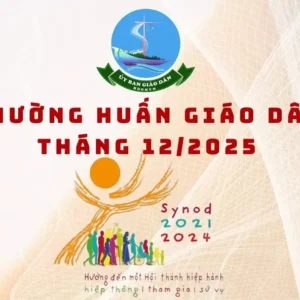 Ủy ban Giáo dân: Thường huấn tháng 12/2025