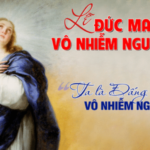 08.12.2025 – Thứ Hai Tuần II Mùa Vọng: Đức Maria Vô Nhiễm Nguyên Tội