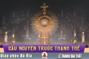Cầu nguyện trước Thánh Thể- Ngày 28.12.2025 – Lễ Thánh Gia Thất – Mt 2,13-15.19-23