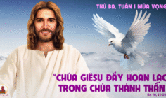 02.12.2025 – Thứ Ba Tuần I Mùa Vọng