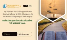 Trở nên hạt giống của hòa bình với Ngôn sứ Isaia – Suy niệm dựa theo ý cầu nguyện của Đức Giáo hoàng tháng 12/2025