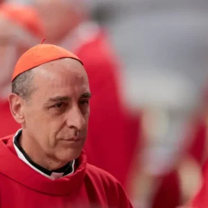 Đức Hồng y Fernández mời gọi tìm kiếm sự thật với lòng khiêm nhường