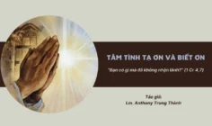 Tâm tình tạ ơn và biết ơn – “Bạn có gì mà đã không nhận lãnh?” (1 Cr 4,7)