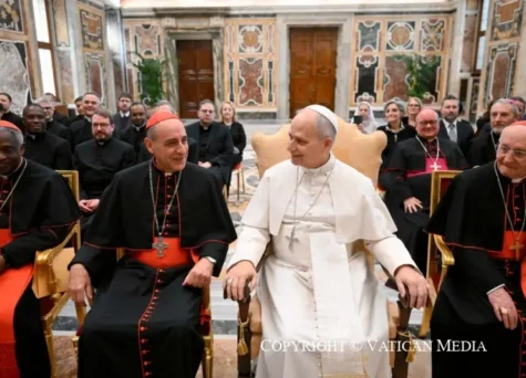 Vấn đề truyền đạt đức tin - Diễn văn của Đức Lêô XIV gởi các tham dự viên Đại hội toàn thể của Bộ Giáo lý Đức Tin năm 2026