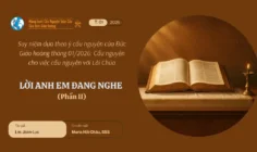 Lời anh em đang nghe – Suy niệm theo ý cầu nguyện của Đức Giáo hoàng tháng 01/2026 phần II