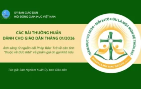 Ủy ban Giáo dân - Thường huấn tháng 01/2026: Ánh sáng từ nguồn cội Phép Rửa