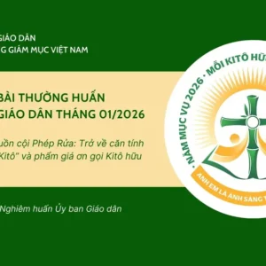 Ủy ban Giáo dân - Thường huấn tháng 01/2026: Ánh sáng từ nguồn cội Phép Rửa